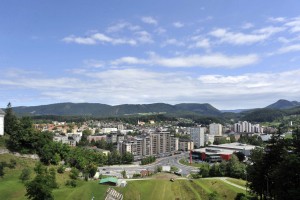 Civilna iniciativa Velenje se ne da: o azilnem domu bodo odločali ustavni sodniki