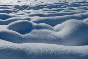 Zima konec marca: na Kočevskem zapadlo okoli 20 centimetrov snega