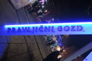 FOTO: Pravljični gozd privabil več kot 10 tisoč obiskovalcev 