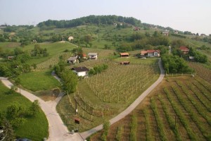 Krško: Za kmetijstvo in razvoj podeželja 134.000 evrov