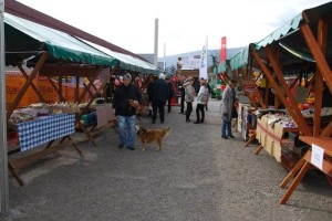 F&#38;A: Prvi Belokranjski sejem vabi