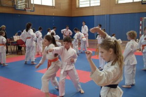 Tanin open 2017 - 17. Tradicionalni karate turnir