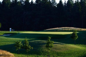 Lovec na golf igrišču na Barju obstrelil golfista