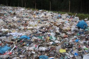 AVDIO: Dom brez odpadkov – ali je to mogoče?