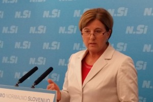 NSi z gospodarskim programom 2.0 za razvojni preboj Slovenije