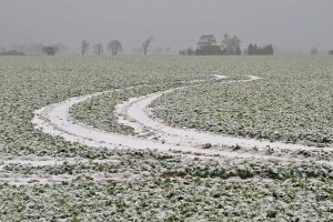 Vremenoslovci svarijo pred pozebo