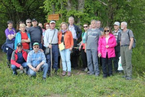 FOTO: Sprehod po bobrovih poteh v Logu ob Krki in Radeščici
