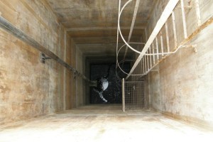 CeROD uspešno zaključil obsežno čistilno akcijo 