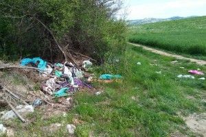 FOTO: Nedopustno odlaganje smeti v Ločni