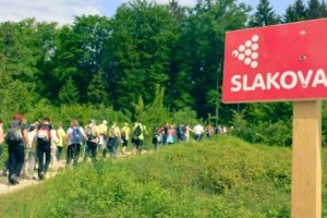 V&#38;F: Novomeščani po Slakovi poti