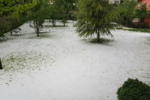 Zimska ˝idila˝ na Jedinščici