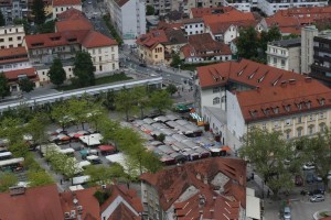 Jankovićev pohod na Plečnikovo tržnico