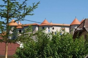 Koncept turistične promocije v Žužemberku