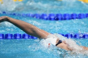 V uvodu za pokal kočevskega medveda