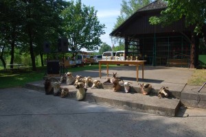 FOTO: S 23. razstave ovac in koz