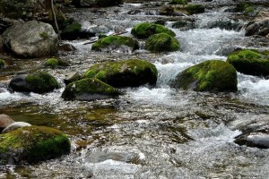 Zvečer in ponoči možna hudourniška razlivanja