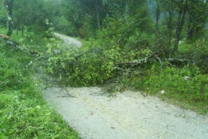 Udarila strela, veter in voda povzročala nevšečnosti 