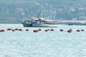 Incident v Piranskem zalivu: hrvaški ribiči potrgali mreže slovenskim