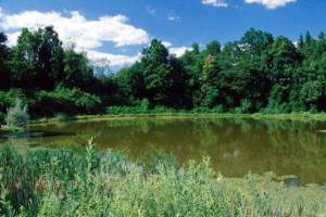 Bela krajina odpira svoja vrata