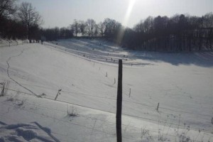 Odprto pismo proti pozidavi Kosove doline Colariču