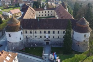 AVDIO: Grad Brežice bo imel novo streho