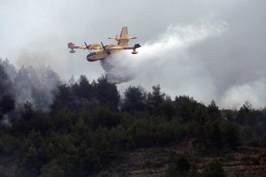 Na Hrvaškem gori del nacionalnega parka Krka