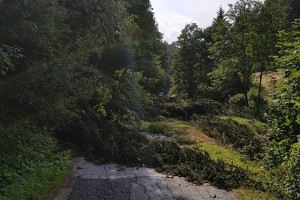 Veter prizanesel gozdovom, hujšega vetroloma ni bilo