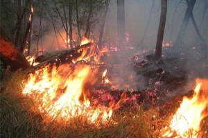 Na območju občine Semič preklicana velika požarna ogroženost