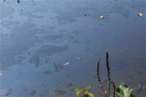 Madež na Savi in požari pred  ohladitvijo