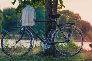 Ob Kolpi tudi z izposojenimi električnimi kolesi