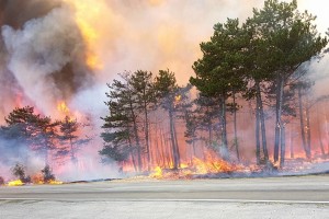 Podtaknila sta požar iz sovraštva do Srbov