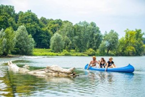 TD Vigred Metlika s foto natečajem