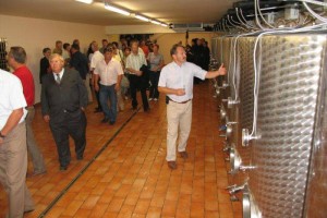 Napotki vinogradnikom pri kletarjenju letošnjega letnika