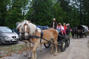 FOTO: Na Blatniku tradicionalna razstava konj