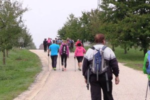 VIDEO: 20. pohod za srce in ožilje