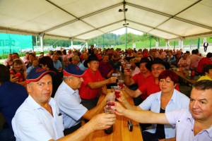 FOTO: Društvo vinogradnikov Mirna ob 10-letnici razvilo prapor 