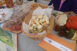 Ob Svetovnem dnevu turizma v Brežicah