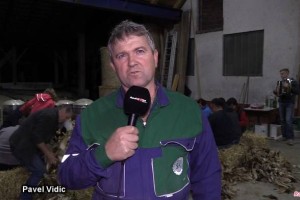VIDEO: Ličkanje koruze v Hruševcu