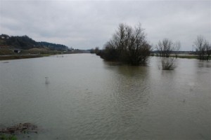 Arso opozarja na razlivanja Kolpe in manjših rek Dolenjskega krasa