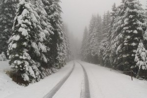 Prihaja zimsko vreme: zapadlo bo od 10 do 25 centimetrov snega