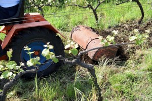 Grozljiva smrt v Marezigah: 83-letnika na njivi potegnilo pod frezo