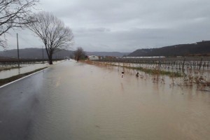 Zlasti v južni Sloveniji bodo danes naraščale in se razlivale reke