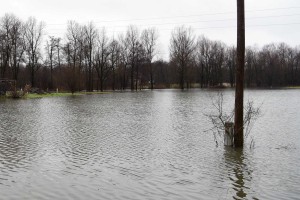 Krka in Ljubljanica bosta ob koncu tedna narasli in lahko poplavljata