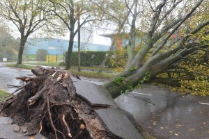 Orkansko neurje Eleanor pustoši po Evropi: sunki vetra tudi do 150 kilometrov na uro