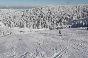 Na Rogli treščila smučarja