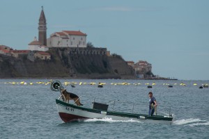 Slovenski ribiči nezadovoljni glede slovensko-hrvaškega tihega dogovora o ribolovu