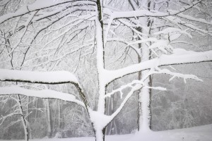 Prihajajo brutalno ledeni dnevi, v sredo tudi pod minus 15 stopinj Celzija