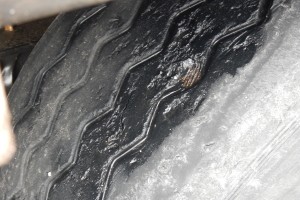 FOTO: Izrabljene pnevmatike le eden od "grehov" Bolgara