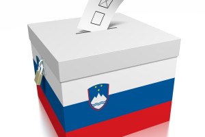 Do poldneva je 22 strank vložilo kandidatne liste za parlamentarne volitve; le deset v vseh osmih enotah