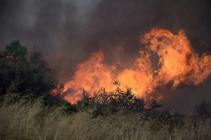 Požar pri Berlinu bi lahko v zrak vrgel neeksplodirane bombe iz druge svetovne vojne